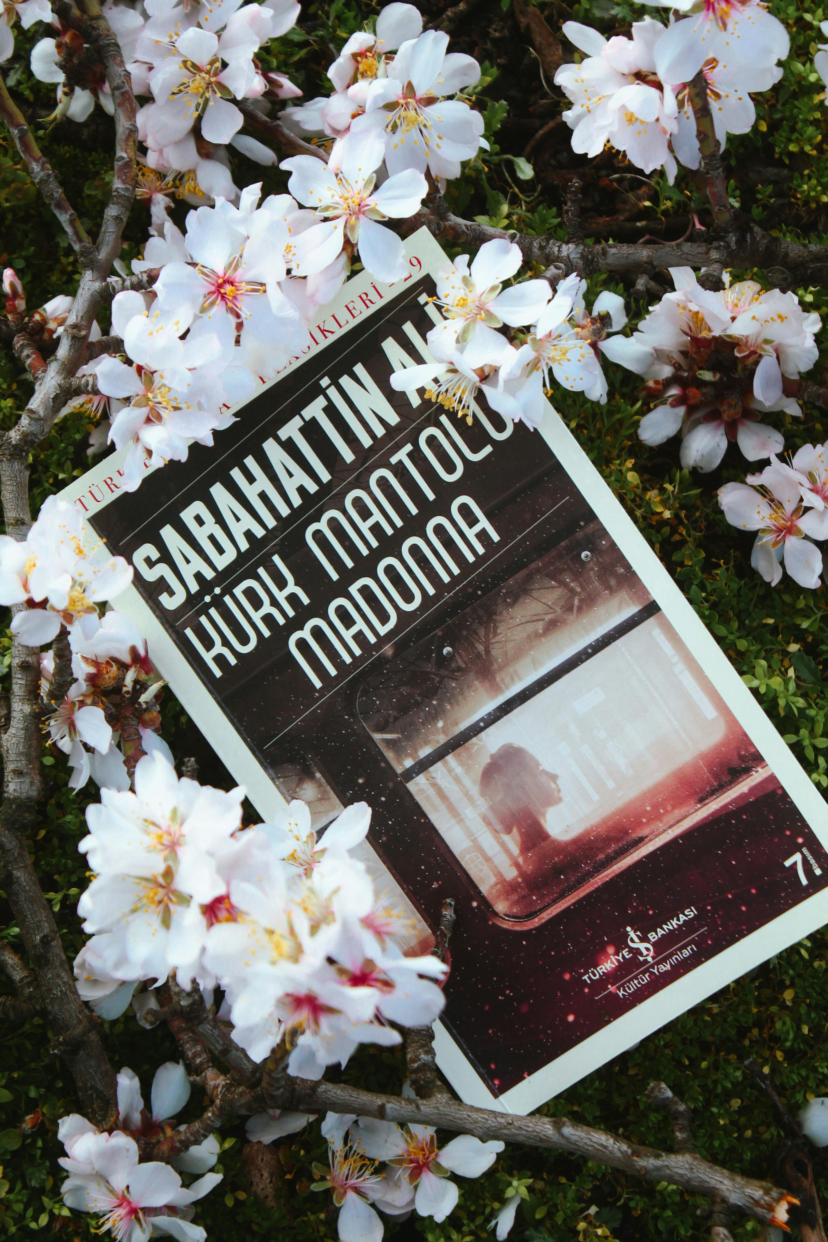 Cherry blossoms surround the book 'Kürk Mantolu Madonna' by Sabahattin Ali.