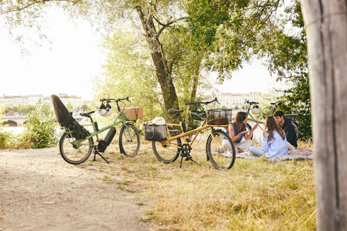 自行车和野餐