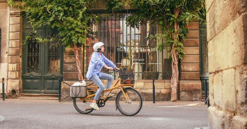 Allo Toulouse : Services et Guide Complet