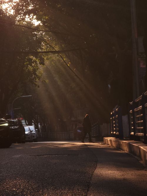 Free A serene city street in warm sunlight with a solitary pedestrian and cars. Stock Photo