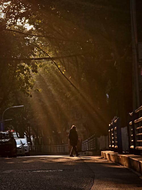 A person walking down a street with sunbeams coming through