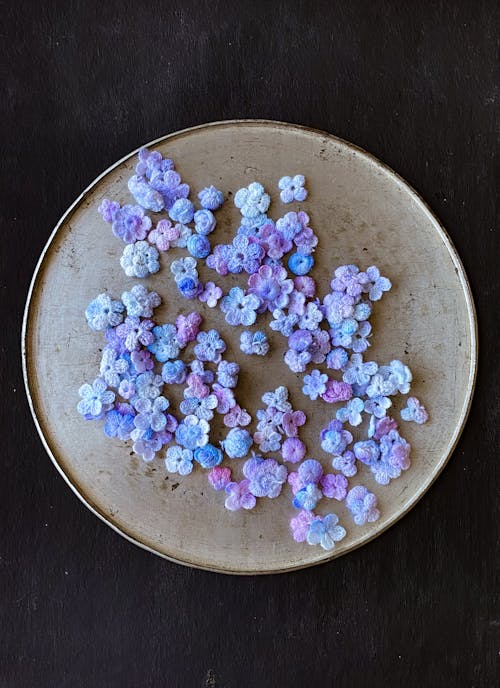 Základová fotografie zdarma na téma fialová, květinový, květiny