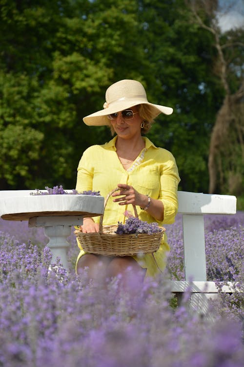 Foto stok gratis baju kuning, bidang, bunga lavender