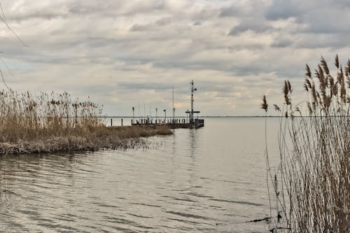 Gratis lagerfoto af anløbsbro, bådebro, balaton