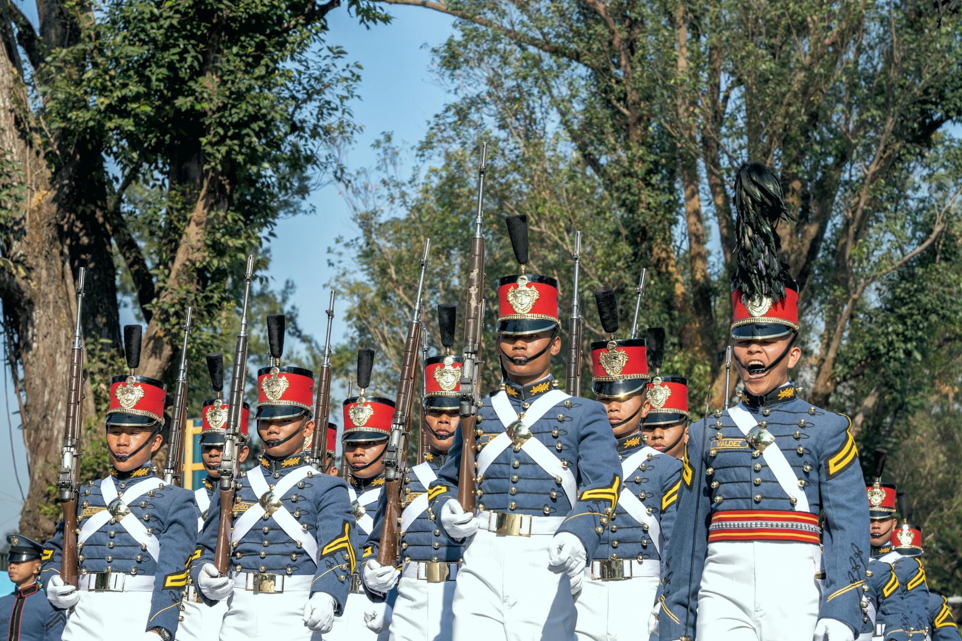 Company of Soldiers in Formal Uniforms