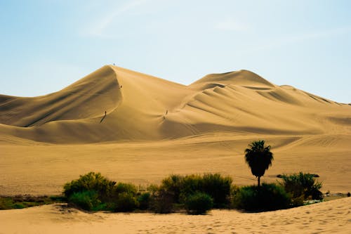 Foto stok gratis bukit pasir, di luar rumah, Fajar