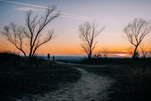 Two people walking down a path at sunset