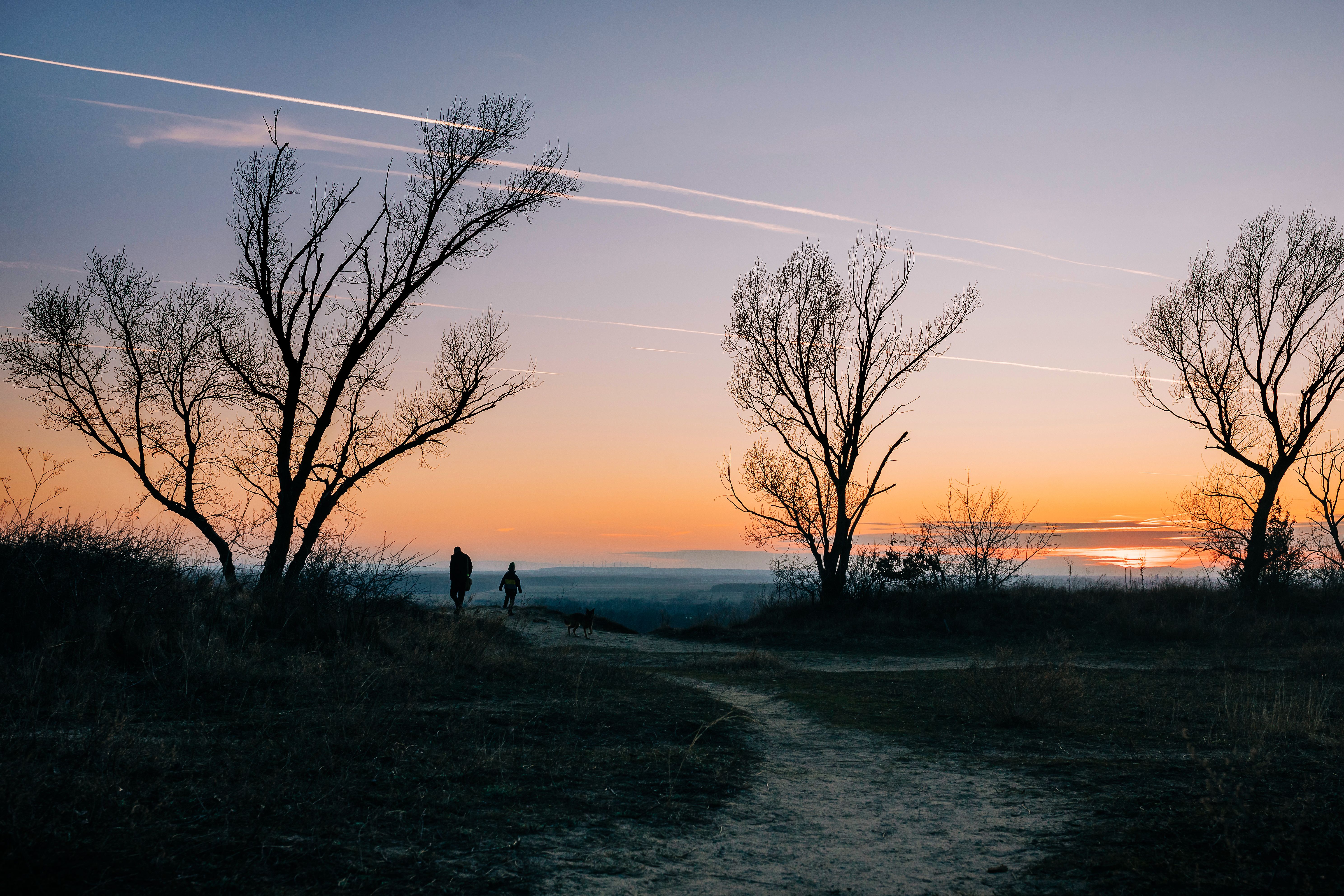 woman silhouette sunrise path