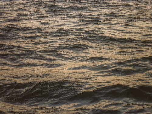 A photo of the ocean with waves