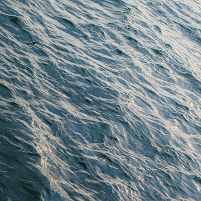 Plastic Pollution in Oceans: What Ignoring It Costs