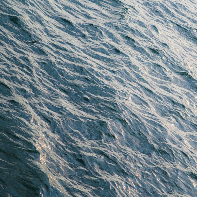 Plastic Pollution in Oceans: What Ignoring It Costs