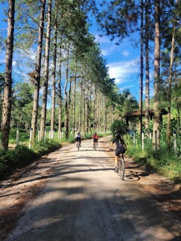 Three cyclists enjoy a leisurely ride on a dirt road through a lush forest on a sunny day.