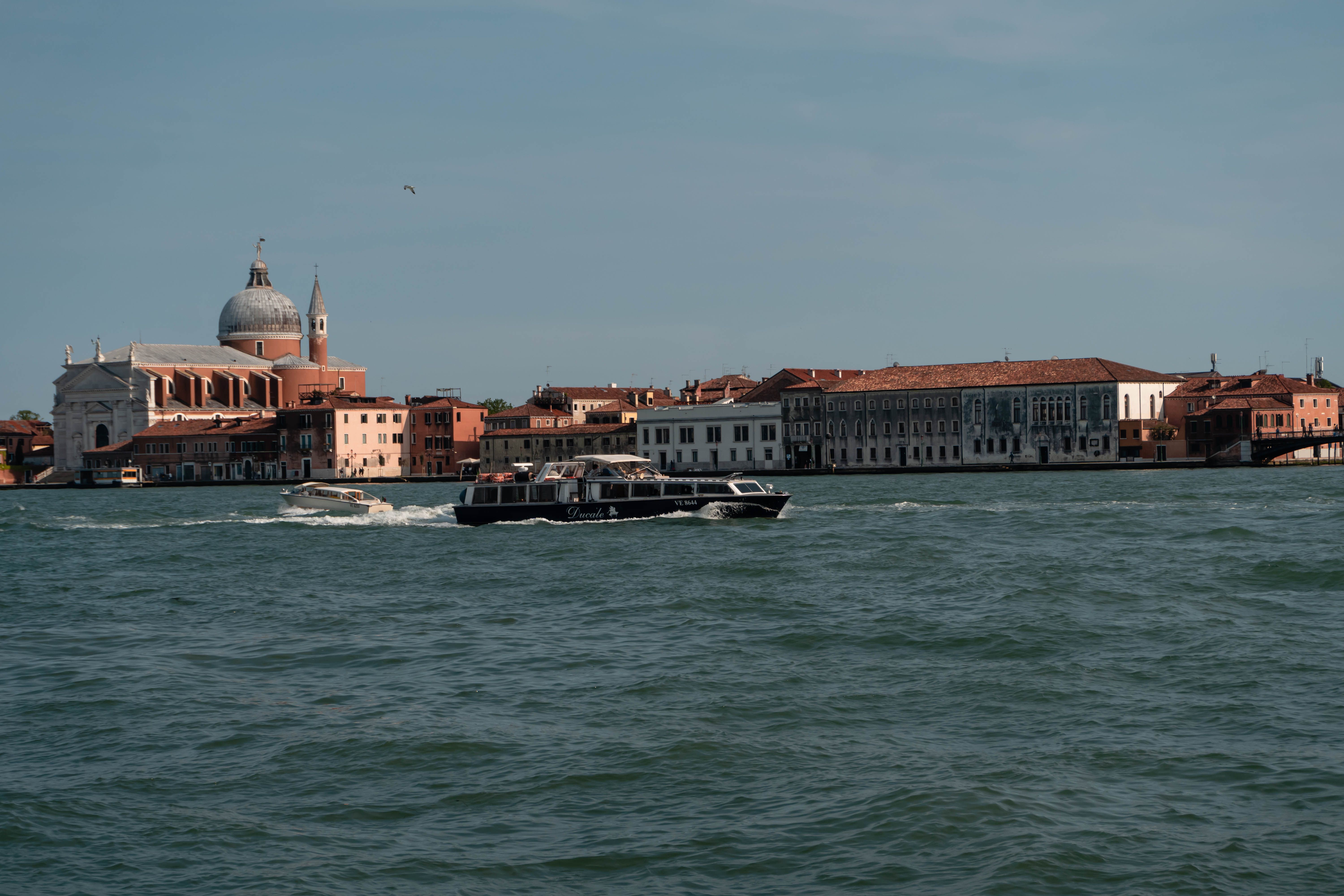 ToursByLocals Reveals World's Best Local Guides — Photo by Alejandro Aznar on Pexels