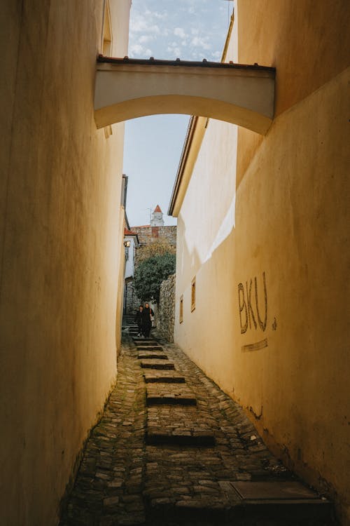 Foto d'estoc gratuïta de barri antic, caminant, carrer