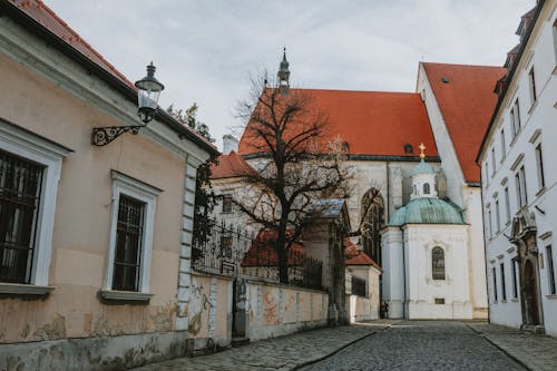 Cobblestone Street next to St Martins Cathedral in Bratislava in Slovakia