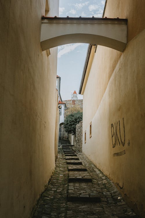 Paving Alley between Walls in Old Town