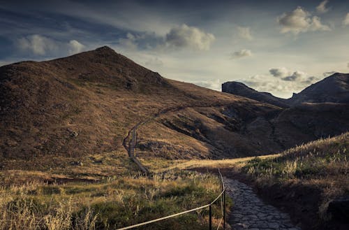 갈색 언덕, 경치, 계단의 무료 스톡 사진