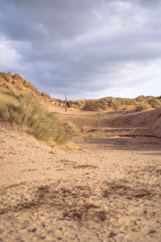 Peaceful sandy dunes with wispy grass under a dramatic cloudy sky.
