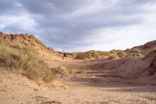 Бесплатное стоковое фото с дюны, злаки, пейзаж