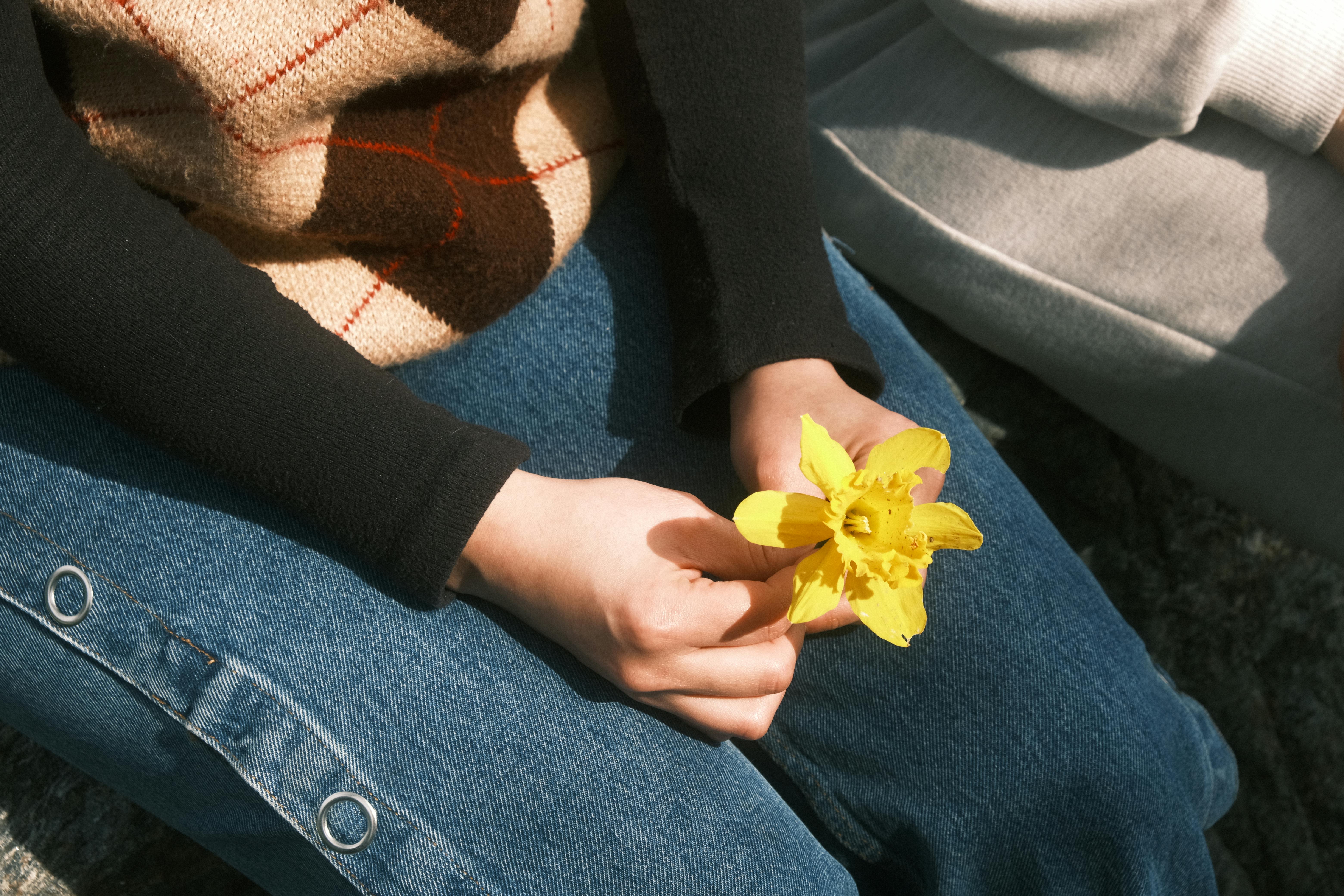 A person in jeans sits holding a vibrant yellow daffodil, capturing a serene outdoor moment.