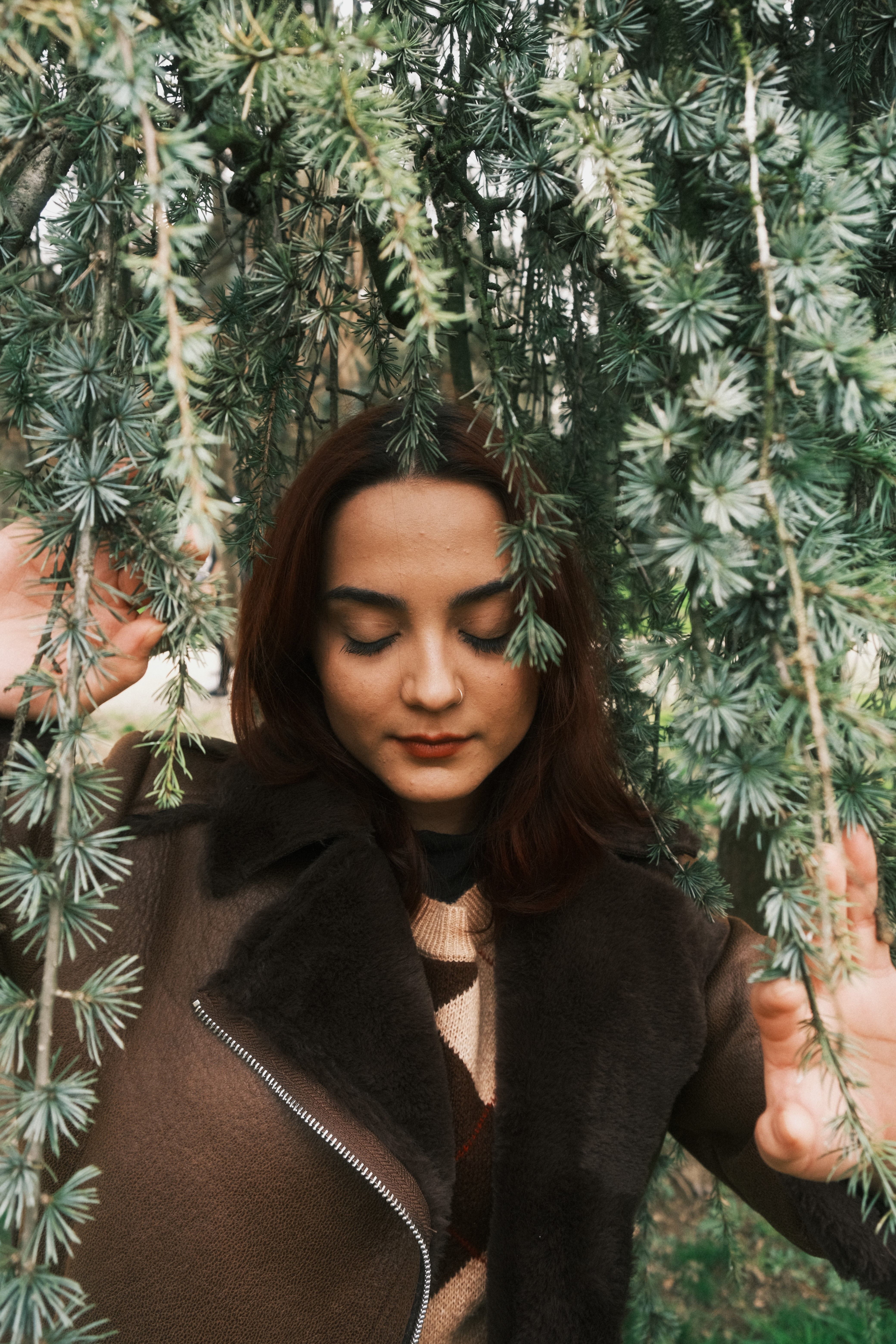 Woman in Brown Jacket Standing under Evergreen Needles · Free Stock Photo