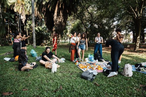 Free A lively summer picnic with friends and pets enjoying a sunny day in the park. Stock Photo