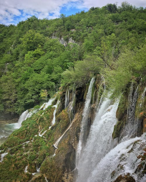 Foto d'estoc gratuïta de arbres, arbustos, cascades