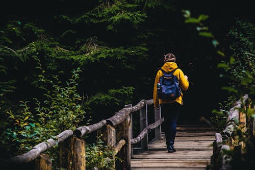 Foto stok gratis berjalan, fokus selektif, hiking