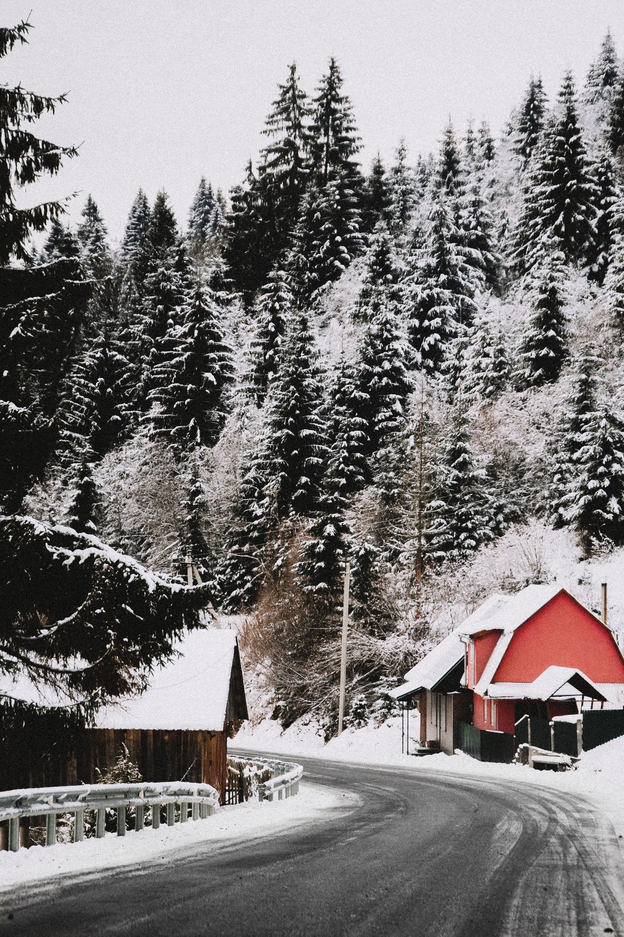 A road through a snowy village in an evergreen forest