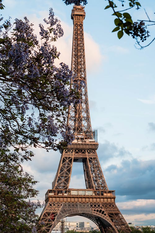 Ingyenes stockfotó ágak, Eiffel-torony, emlékmű témában