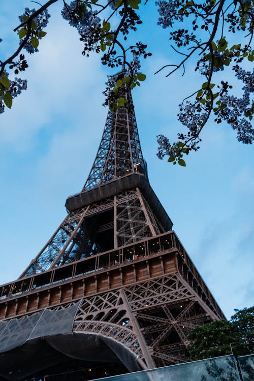 The eiffel tower is seen from above with purple flowers