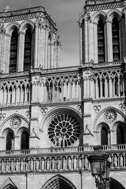 Imagine de stoc gratuită din alb-negru, arhitectura gotică, catedrală