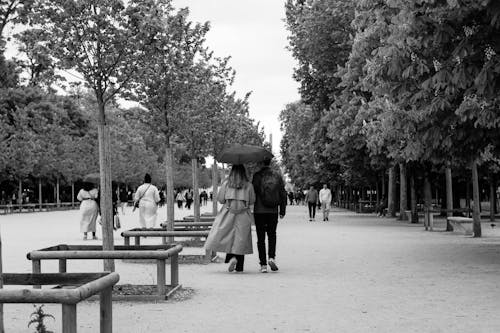 Darmowe zdjęcie z galerii z chodzenie, czarno-biały, deszcz