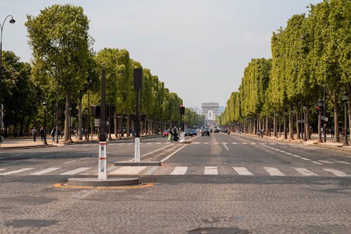 A street with a tree lined road and a sign