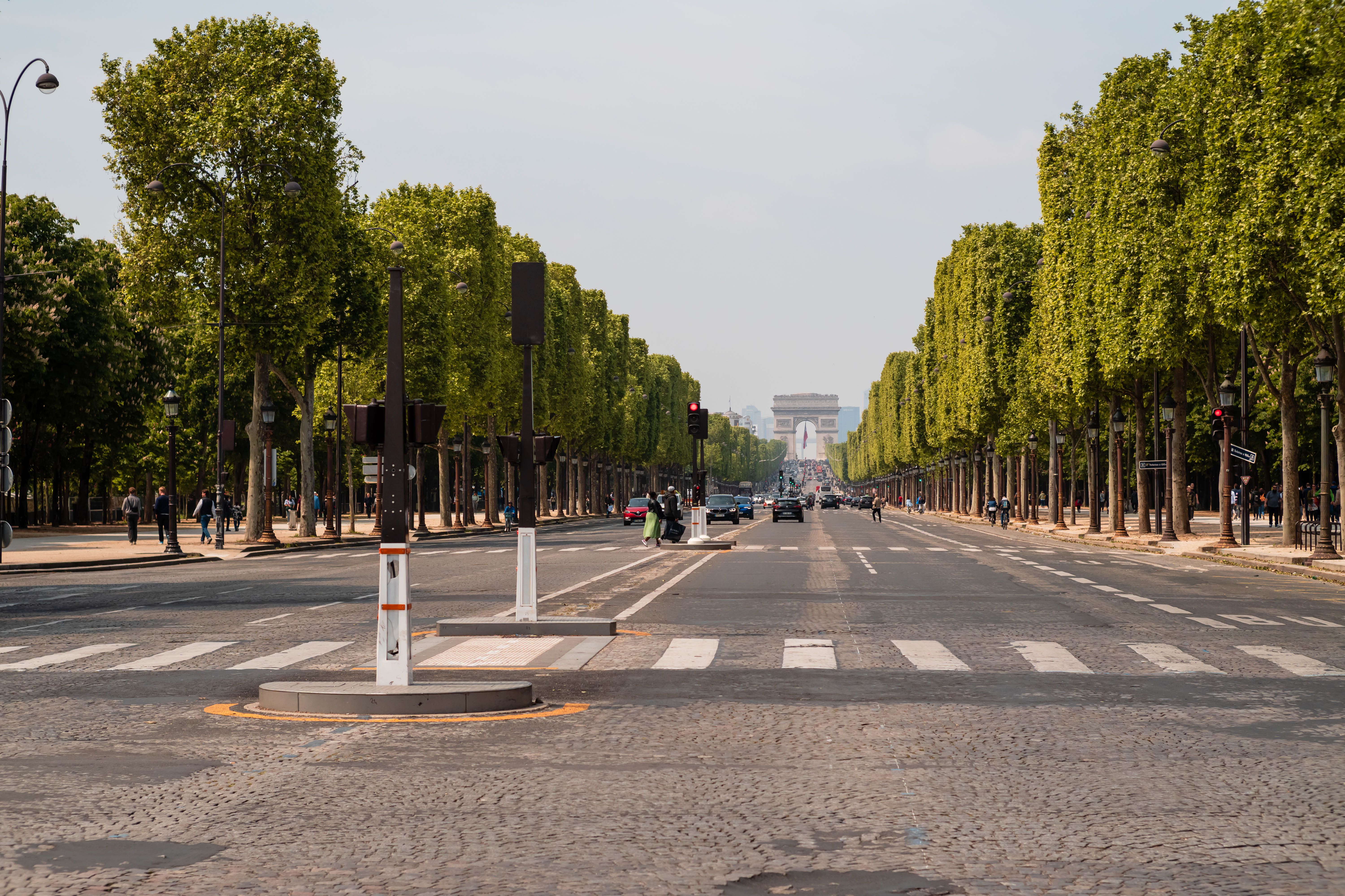 Treelined Street in Paris · Free Stock Photo