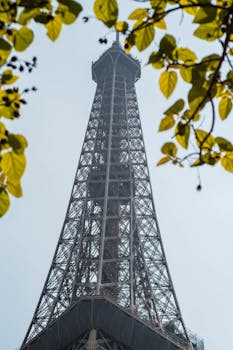 A stunning view of the Eiffel Tower framed by autumn leaves in Paris, France.