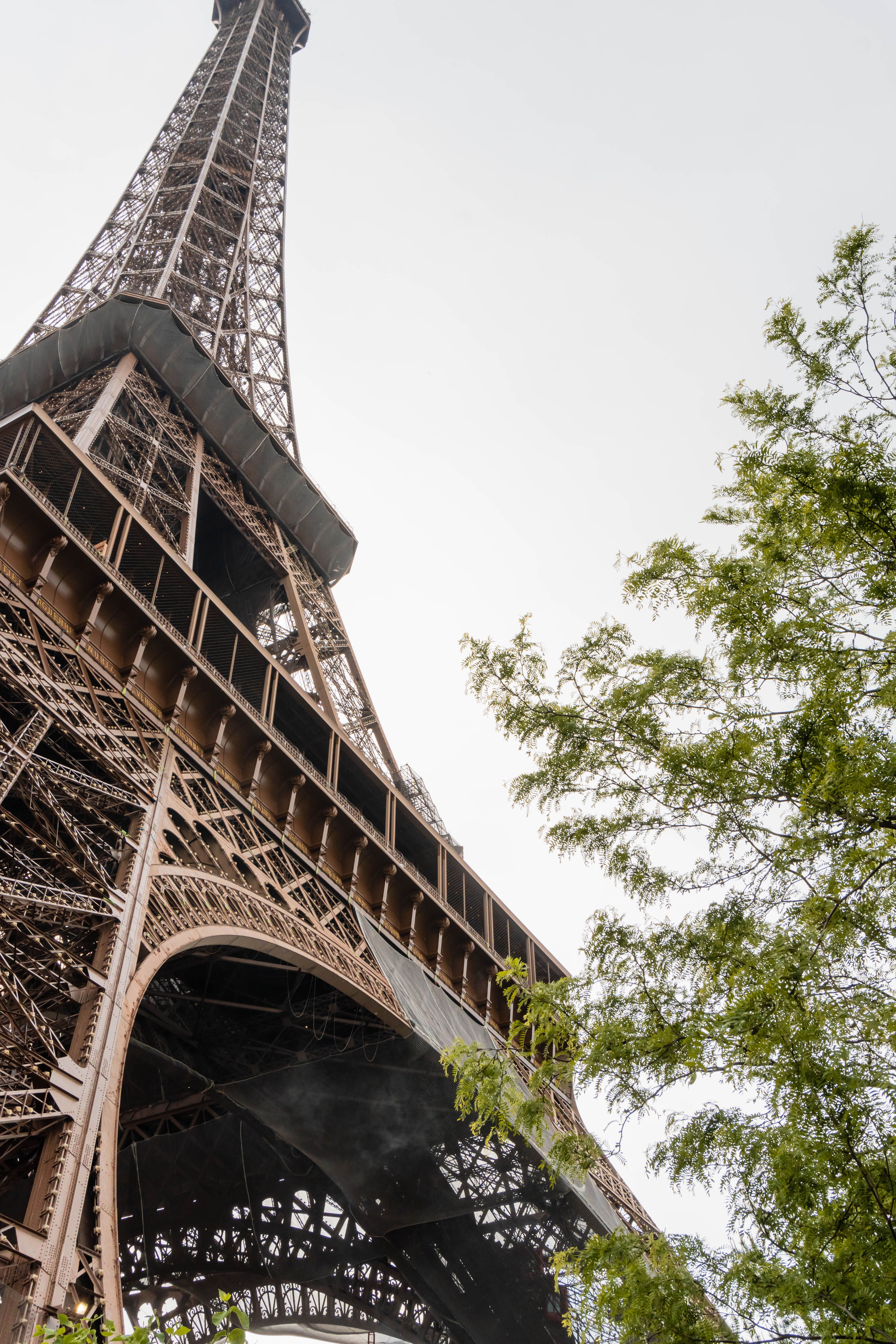 Low angle view of the Eiffel Tower with green trees in Paris, travel landmark