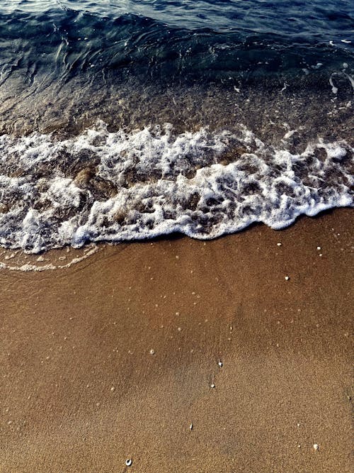 Foto profissional grátis de água, areia, espuma