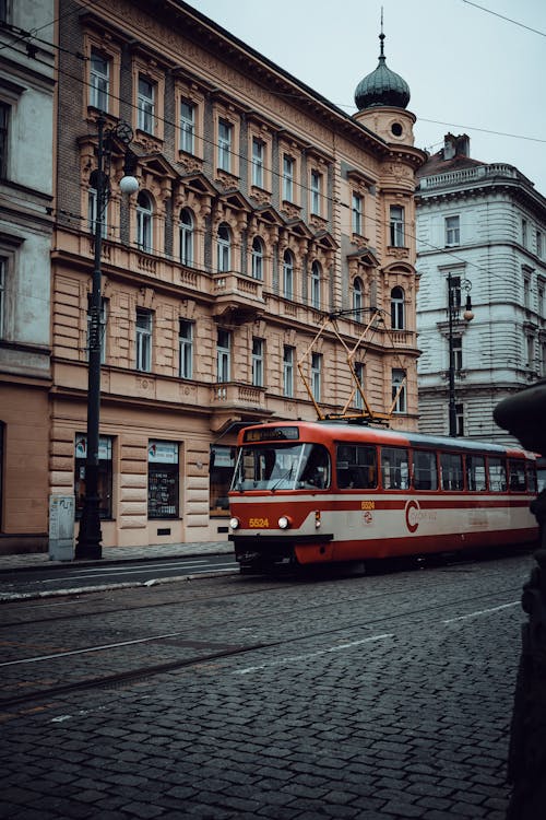 A red and white bus on a city street