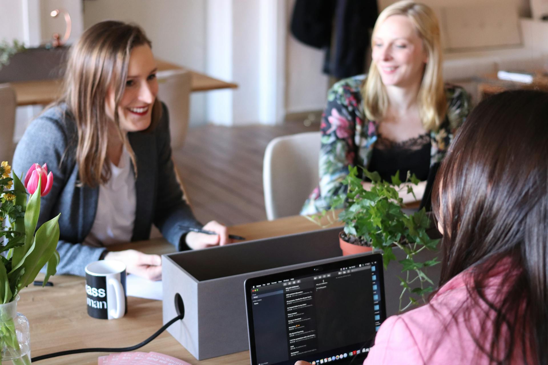 Three women engaging in a casual business meeting in a modern office setting with laptops and plants.