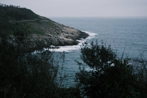 A view of the ocean from a hillside