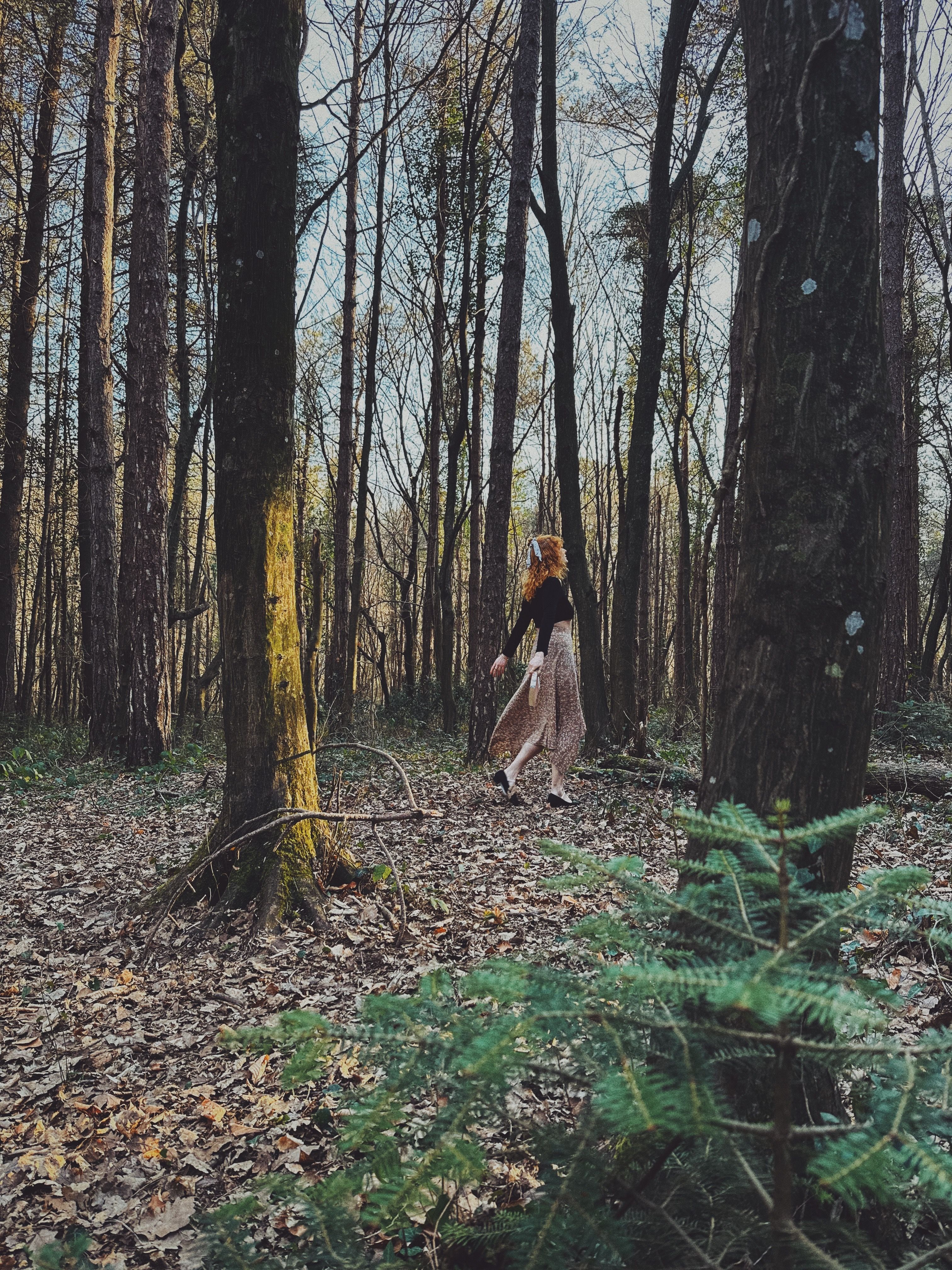 A Woman in a Forest in Autumn · Free Stock Photo