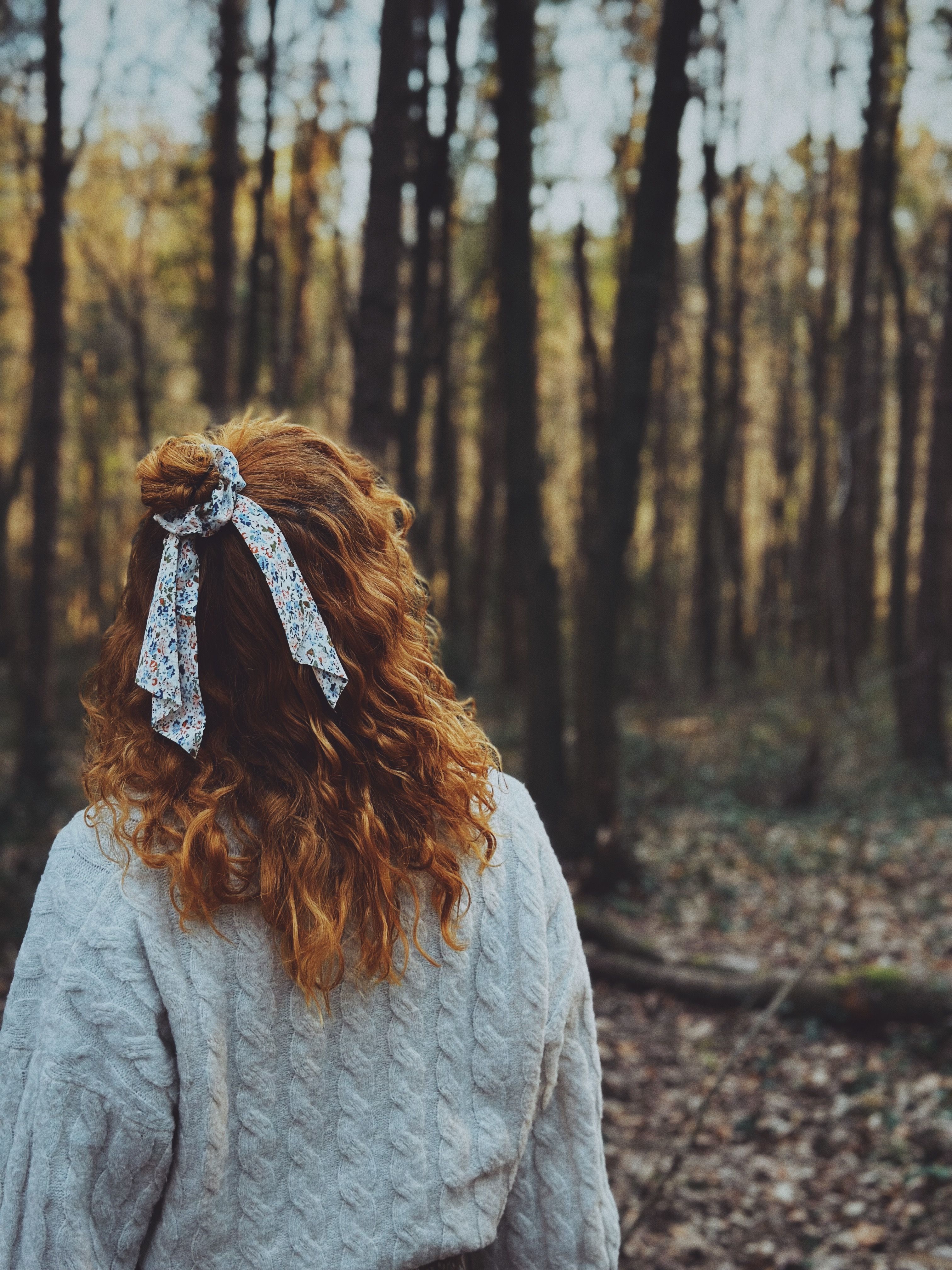 Back View of Woman in Sweater in Forest · Free Stock Photo