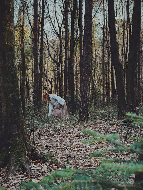 Darmowe zdjęcie z galerii z drzewa, kobieta, las