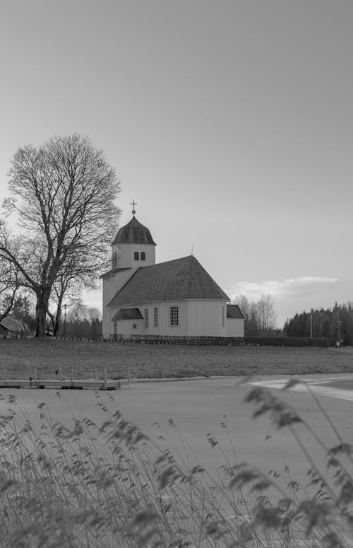 Foto d'estoc gratuïta de arbre, blanc i negre, catòlic