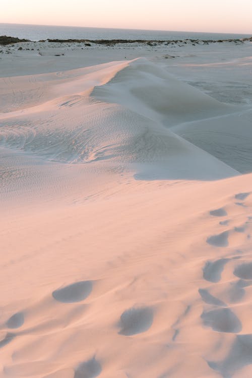 乾旱, 在沙漠中的早晨, 太陽 的 免费素材图片