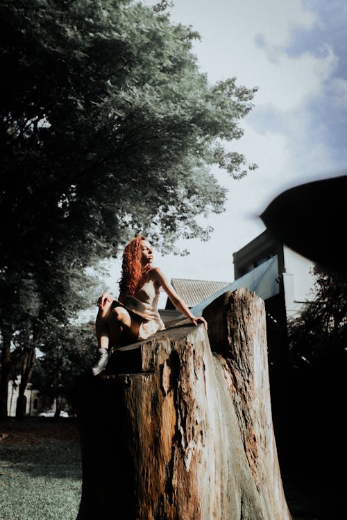 A woman sitting on top of a tree stump