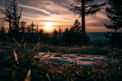 Fotobanka s bezplatnými fotkami na tému chladný, hracie pole, kopec