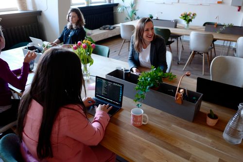 Free Women collaborating in a modern office environment with laptops and indoor plants, fostering teamwork. Stock Photo