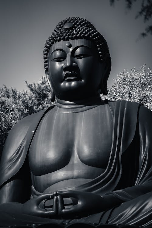 Darmowe zdjęcie z galerii z budda, buddyjski, czarno-biały